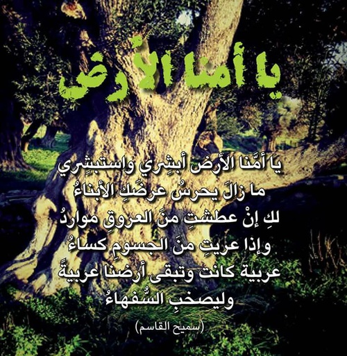 عبارات عن الحب للوطن