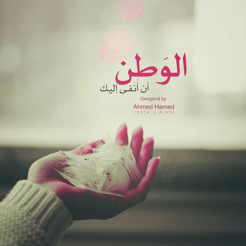 عبارات عن الحب للوطن