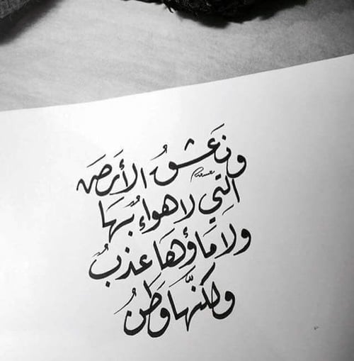 عبارات عن الحب للوطن