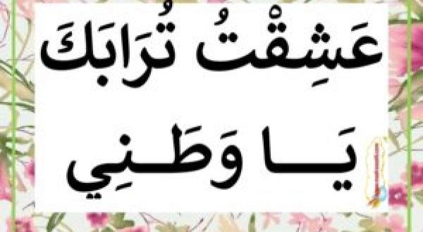 عبارات عن الحب للوطن