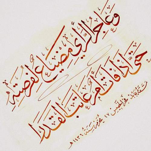 عبارات عن الحياة