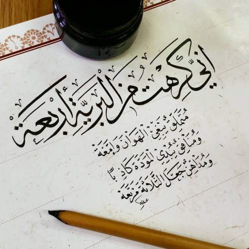 عبارات عن الحياة