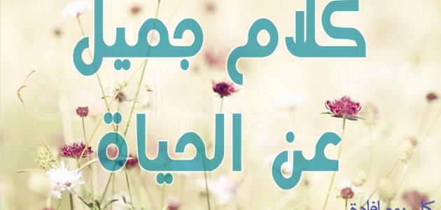 عبارات عن الحياة