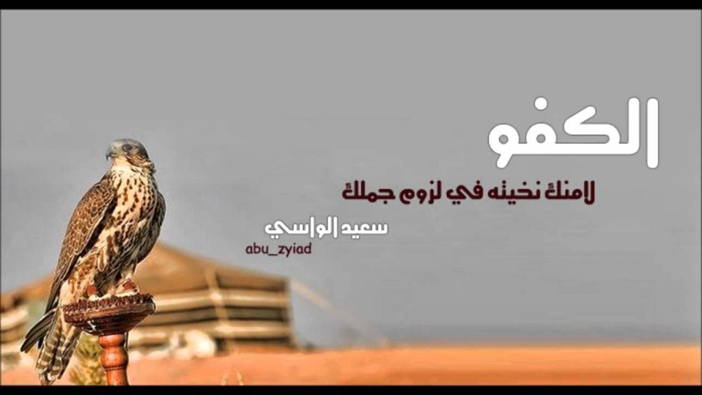 عبارات عن الشخص الكفو