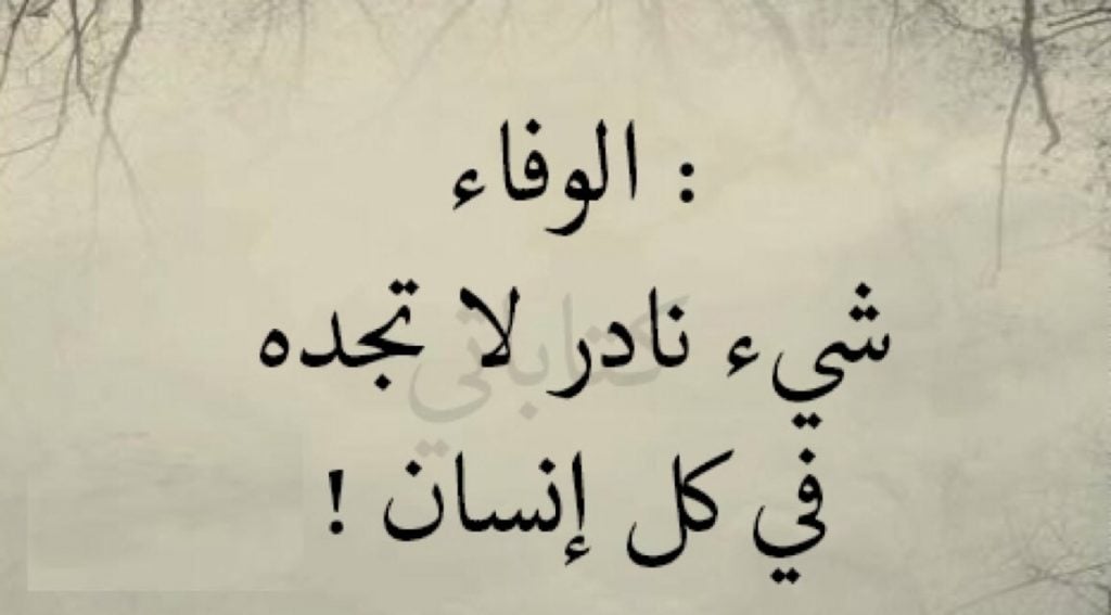 عبارات عن الشخص الوفي