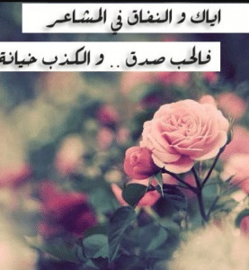 عبارات عن الكذب في الحب