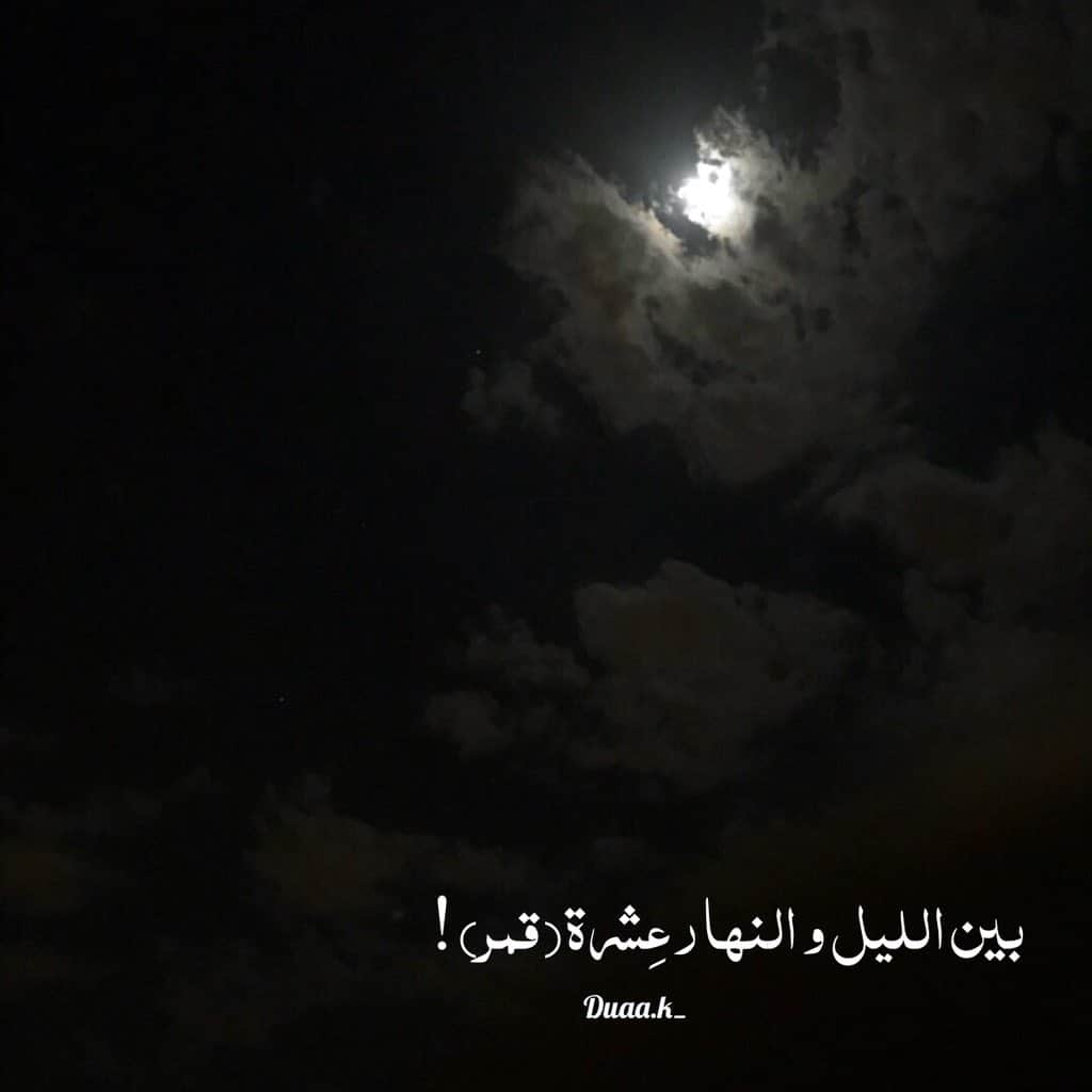 عبارات عن الليل