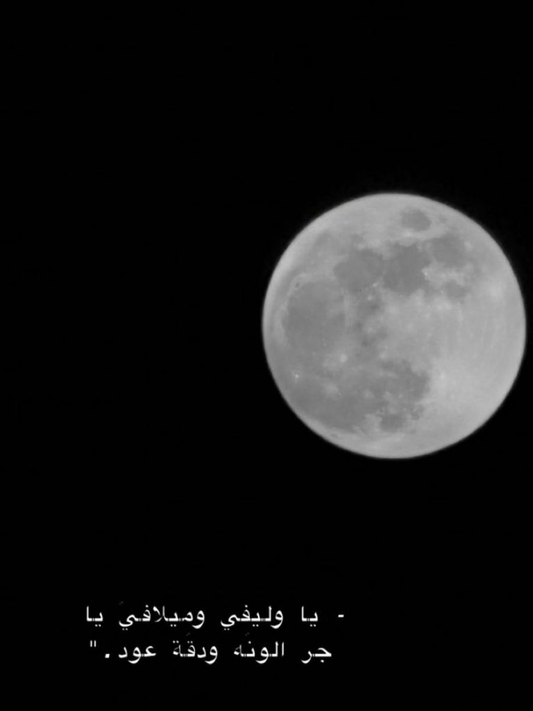 عبارات عن الليل