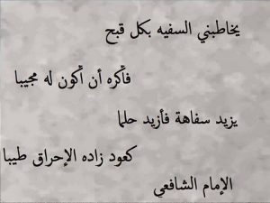 عبارات عن تجاهل السفهاء