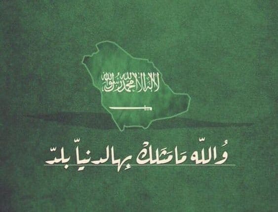 عبارات عن حب الوطن