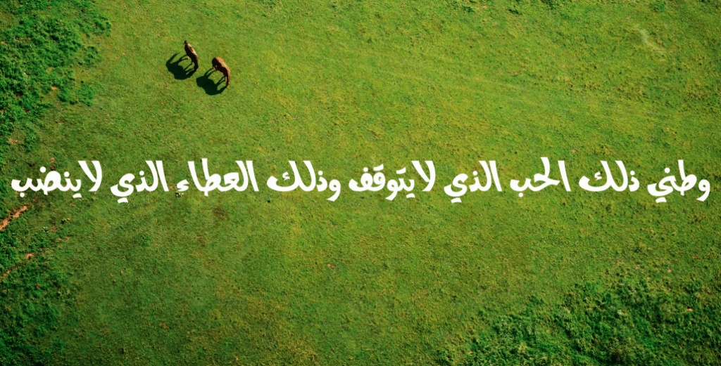 عبارات عن حب الوطن