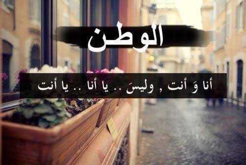 عبارات عن حب الوطن