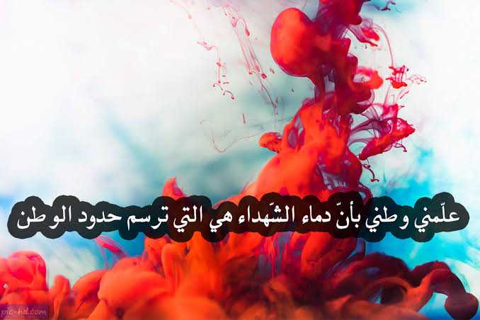 عبارات عن حب الوطن