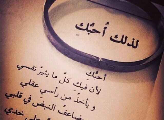 عبارات عن دفء الحب