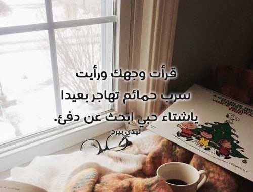 عبارات عن دفء الحب