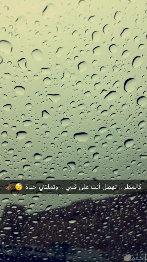 عبارات عن سقوط المطر