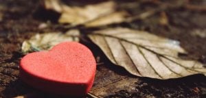 عبارات عن سند الحبيب