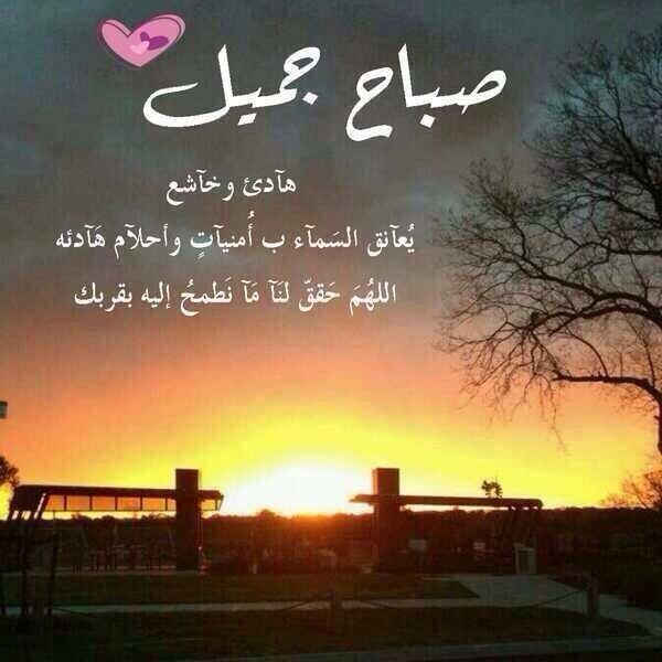 عبارات عن شروق الشمس