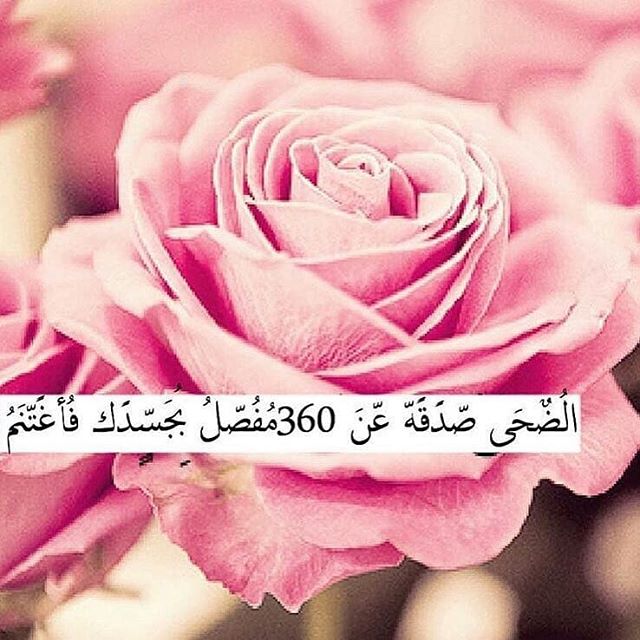 عبارات عن صلاة الضحى