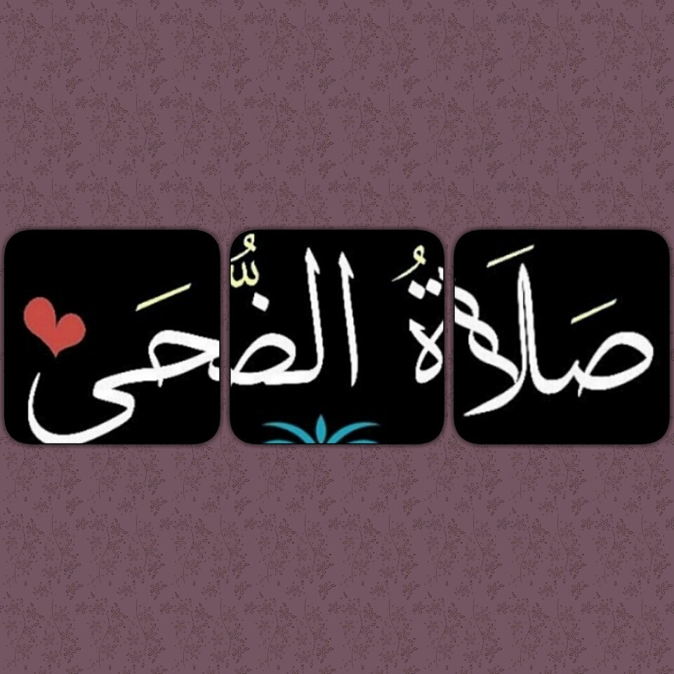عبارات عن صلاة الضحى