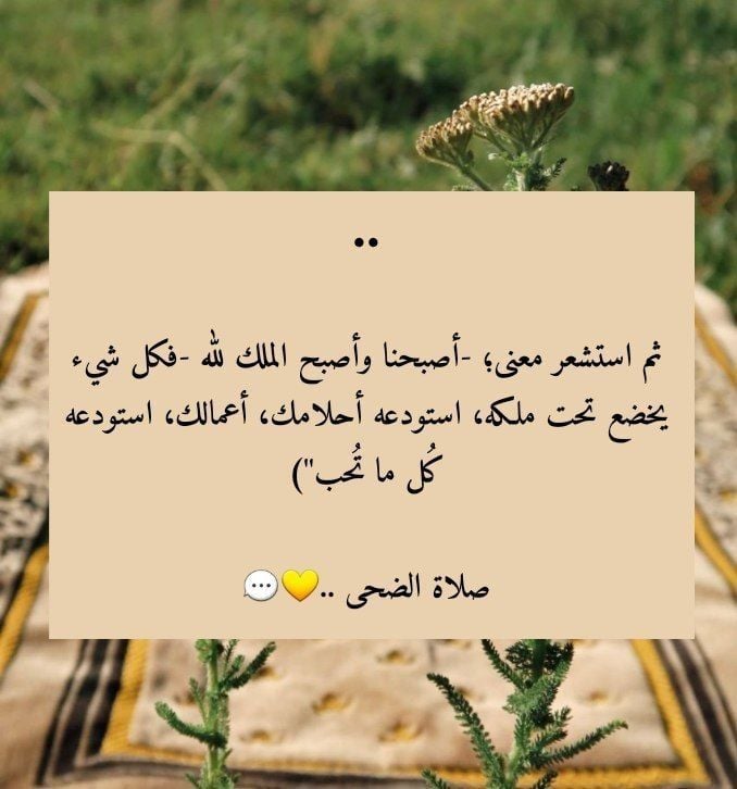 عبارات عن صلاة الضحى