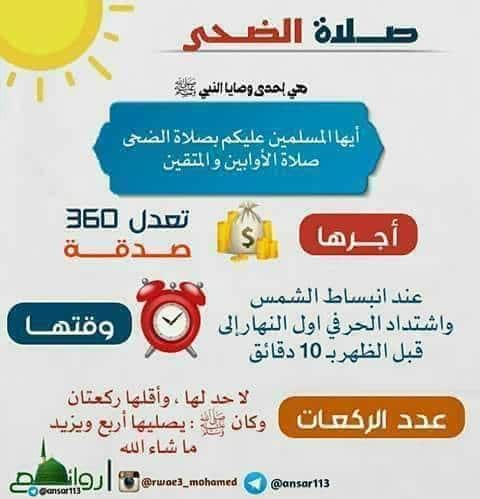 عبارات عن صلاة الضحى