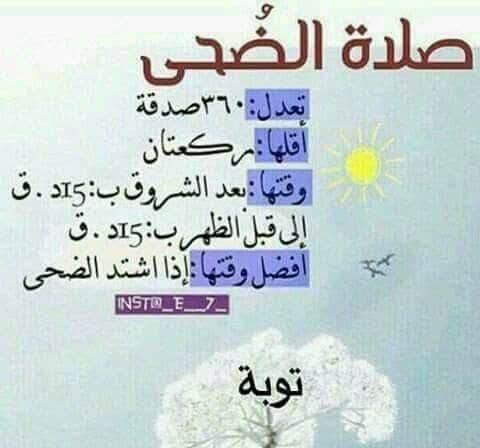 عبارات عن صلاة الضحى