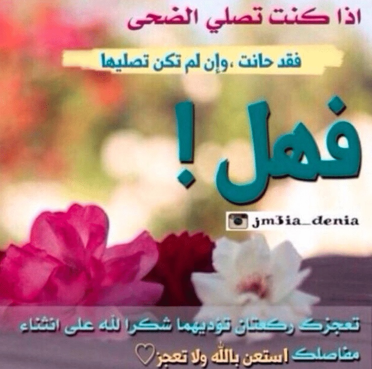 عبارات عن صلاة الضحى