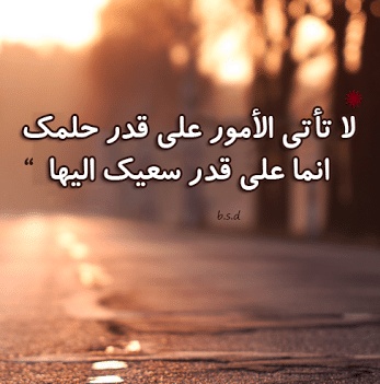 عبارات عن ضياع المستقبل