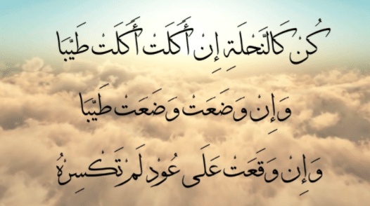 عبارات عن طلب المساعدة