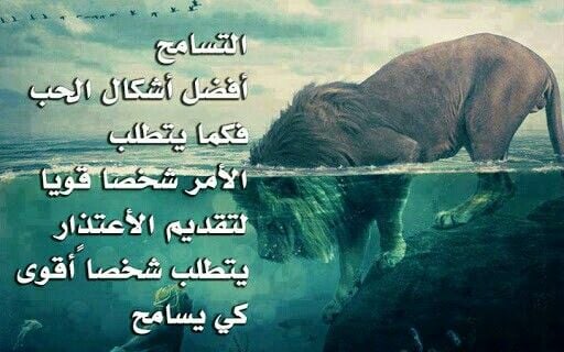 عبارات عن طلب المسامحة