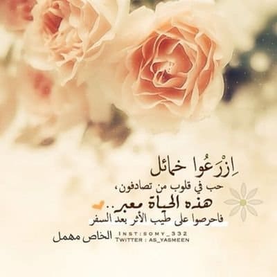 عبارات عن طيب الاثر