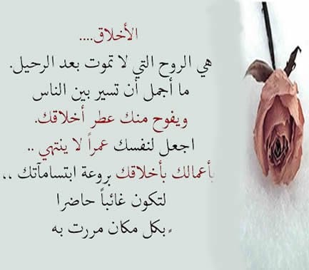 عبارات عن طيب الاخلاق