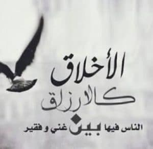 عبارات عن طيب الاخلاق