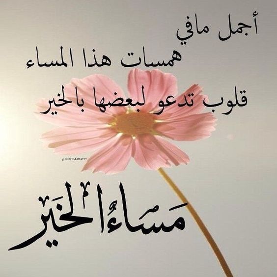 عبارات عن قهوة المساء