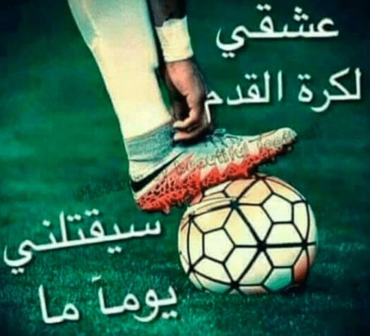 عبارات عن كرة القدم