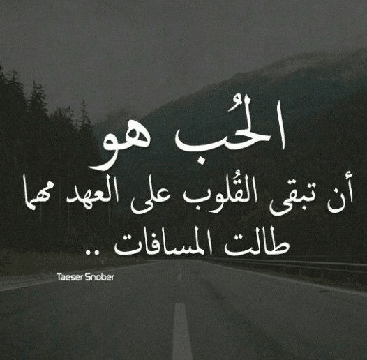 عبارات عن ناس لطيفه