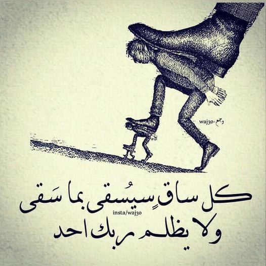 عبارات فخمة