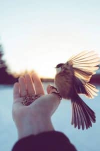 عبارات مدح وثناء