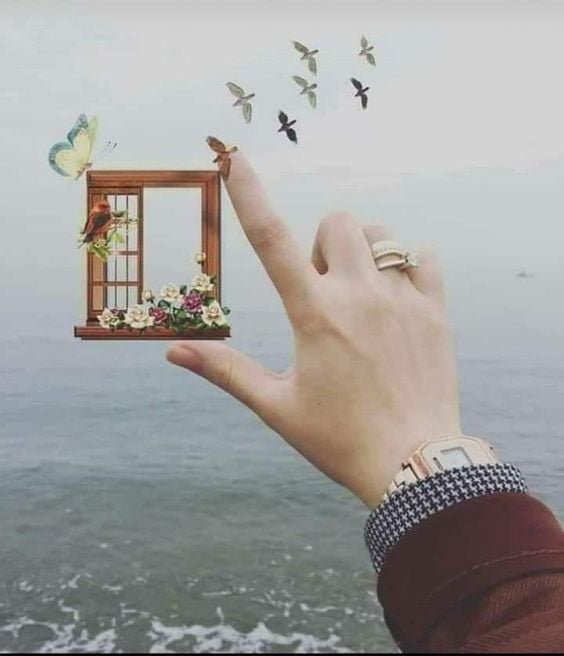 عبارات مدح وثناء