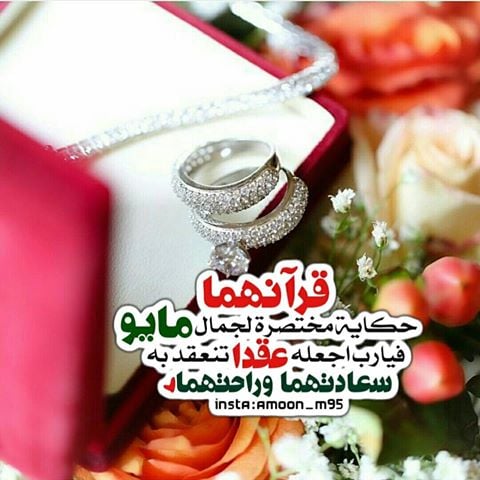 عبارات ملكه