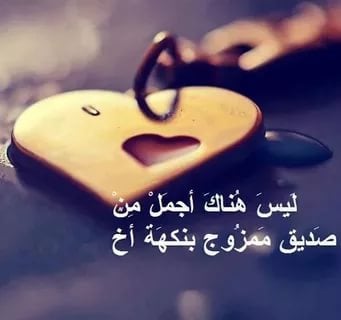 عبارات هبل عن الاصدقاء