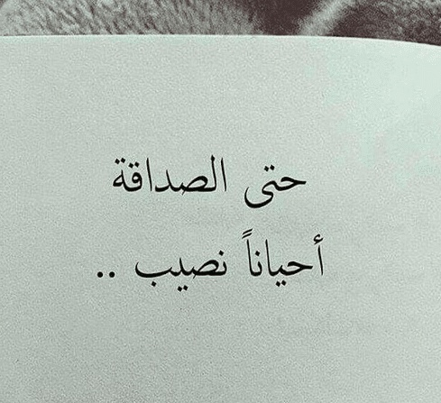 عبارات هبل عن الاصدقاء