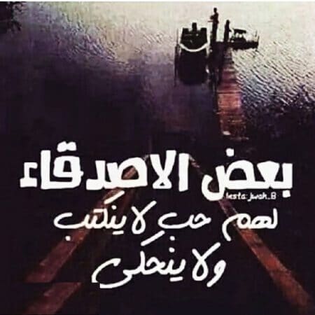 عبارات هبل عن الاصدقاء