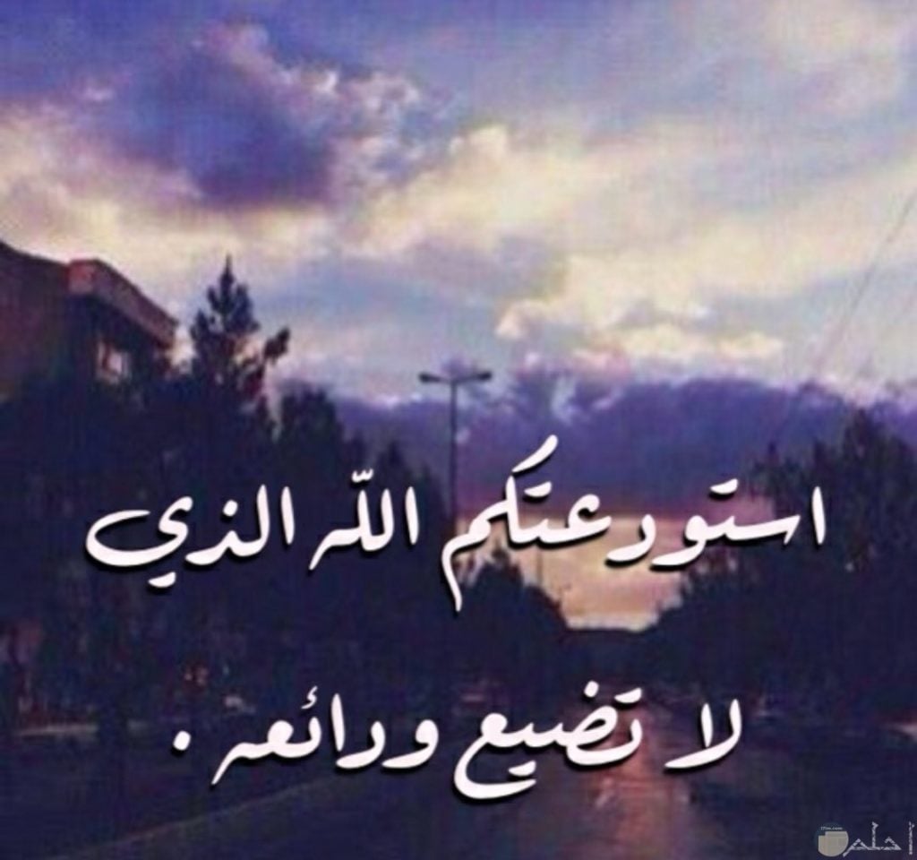 عبارات وداع