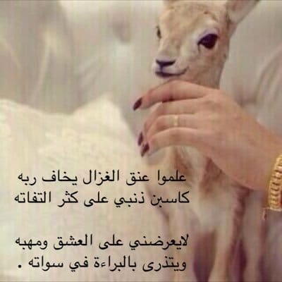 غزل عن الغزال