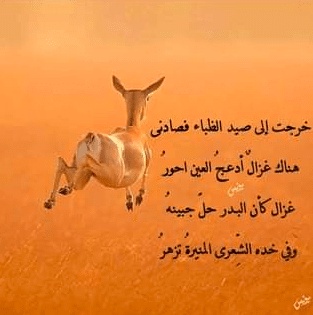 غزل عن الغزال