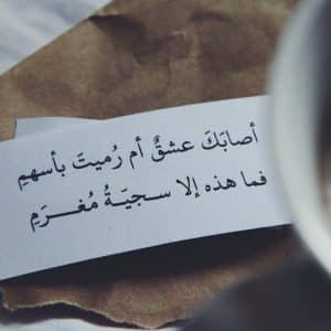 قصائد يزيد بن معاوية في الغزل