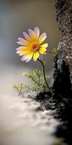 كلام جميل عن نفسي بالاعتزاز والفخر