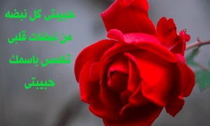 كلام حب قوي لحبيبتي